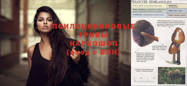 трава Сатка