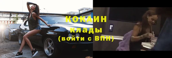 трава Сатка