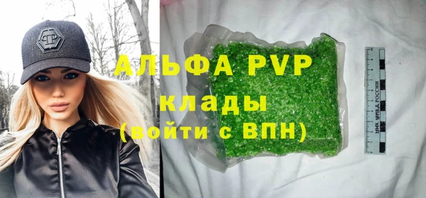 стаф Абинск